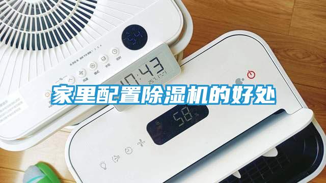 家里配置除湿机的好处