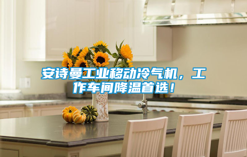 安诗曼工业移动冷气机，工作车间降温首选！