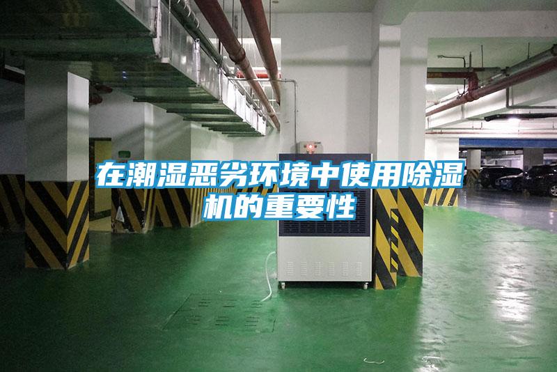 在潮湿恶劣环境中使用除湿机的重要性