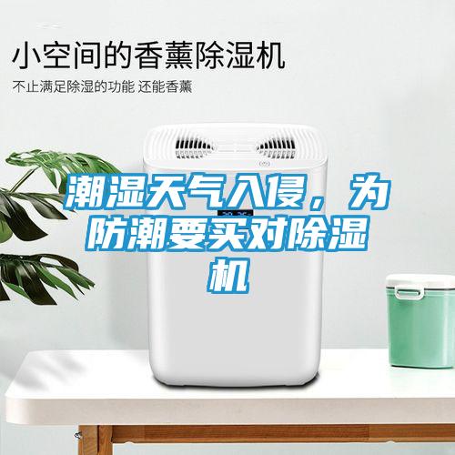 潮湿天气入侵，为防潮要买对除湿机