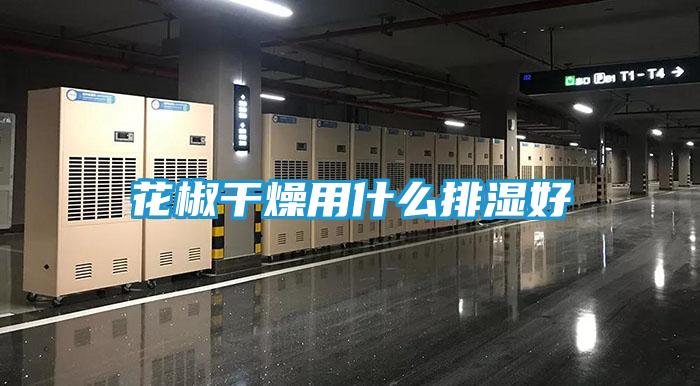 花椒干燥用什么排湿好