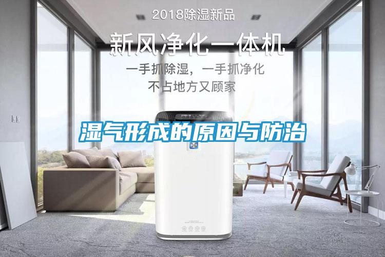 湿气形成的原因与防治