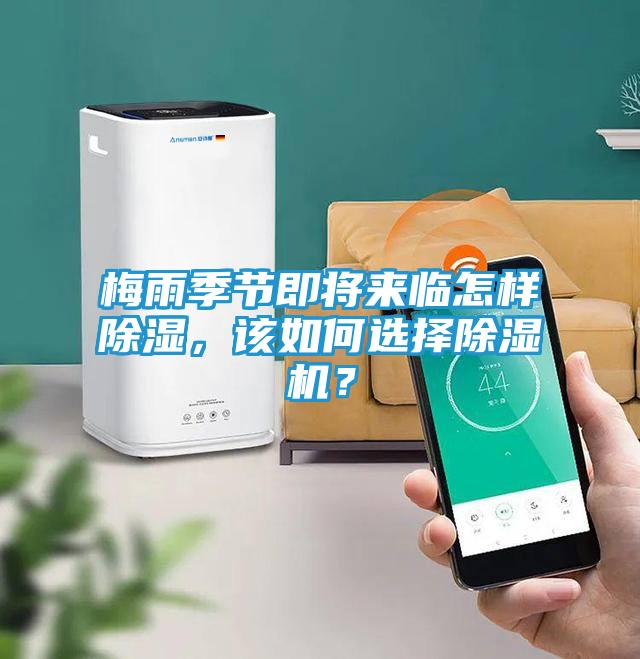 梅雨季节即将来临怎样除湿，该如何选择除湿机？