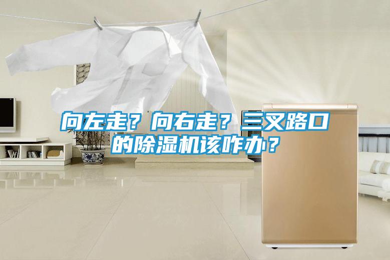 向左走？向右走？三叉路口的除湿机该咋办？