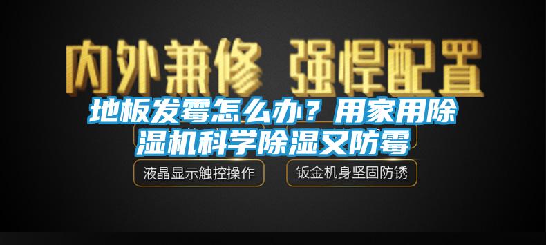 地板发霉怎么办？用家用除湿机科学除湿又防霉