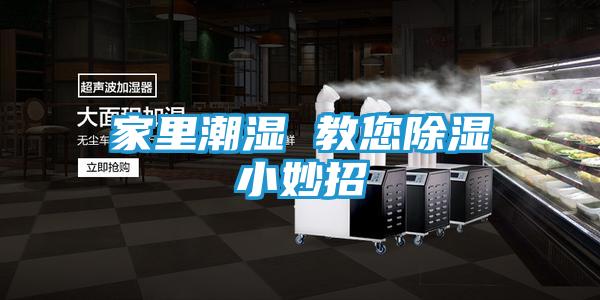 家里潮湿 教您除湿小妙招