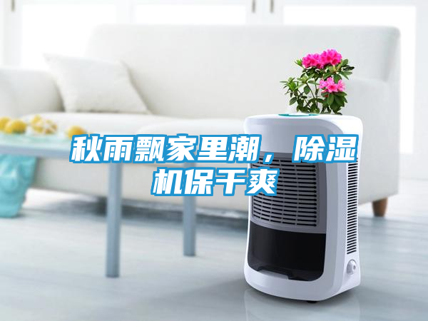 秋雨飘家里潮,除湿机保干爽