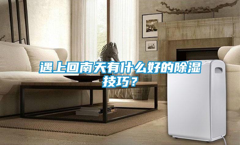 遇上回南天有什么好的除湿技巧？