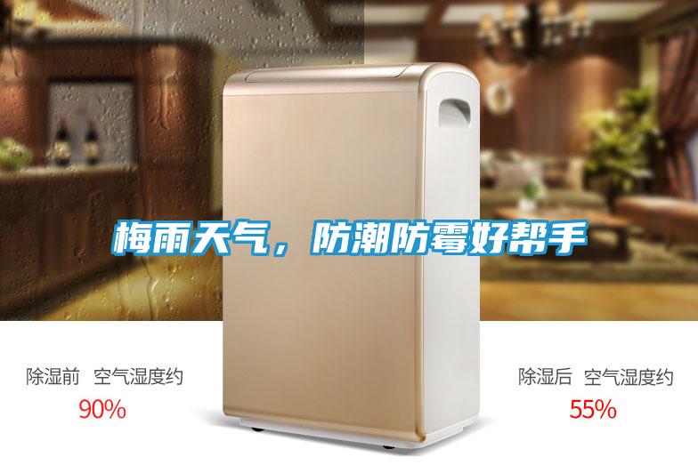 梅雨天气，防潮防霉好帮手