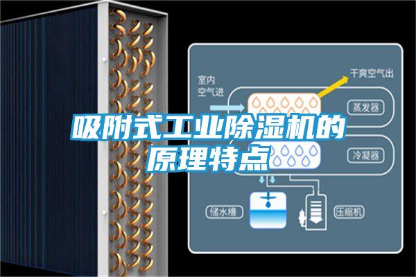 吸附式工业除湿机的原理特点