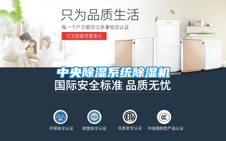 中央除湿系统除湿机