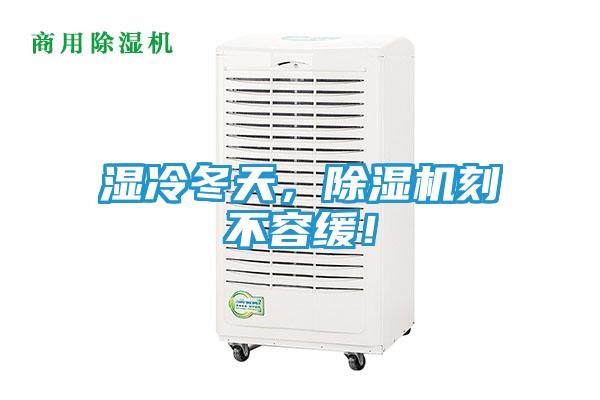湿冷冬天,除湿机刻不容缓!