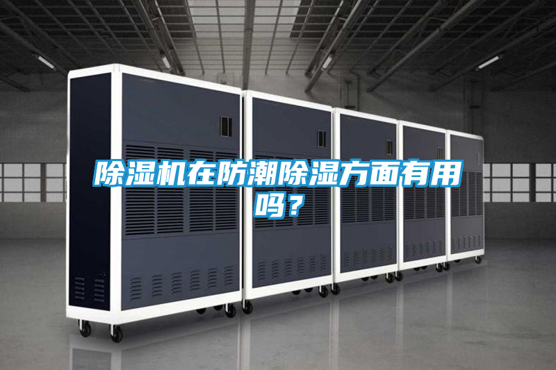 除湿机在防潮除湿方面有用吗？