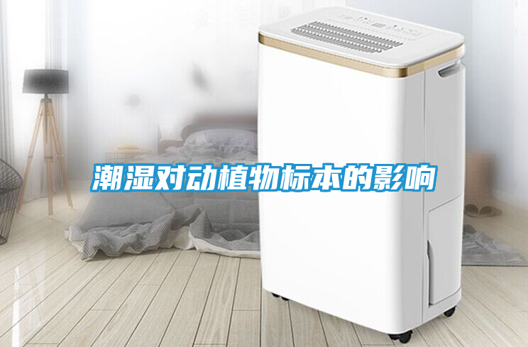 潮湿对动植物标本的影响