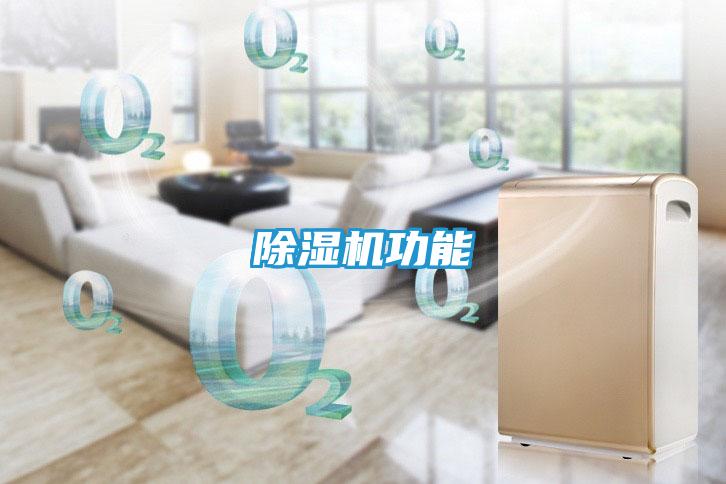 除湿机功能