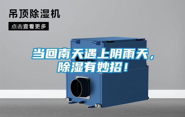 当回南天遇上阴雨天，除湿有妙招！