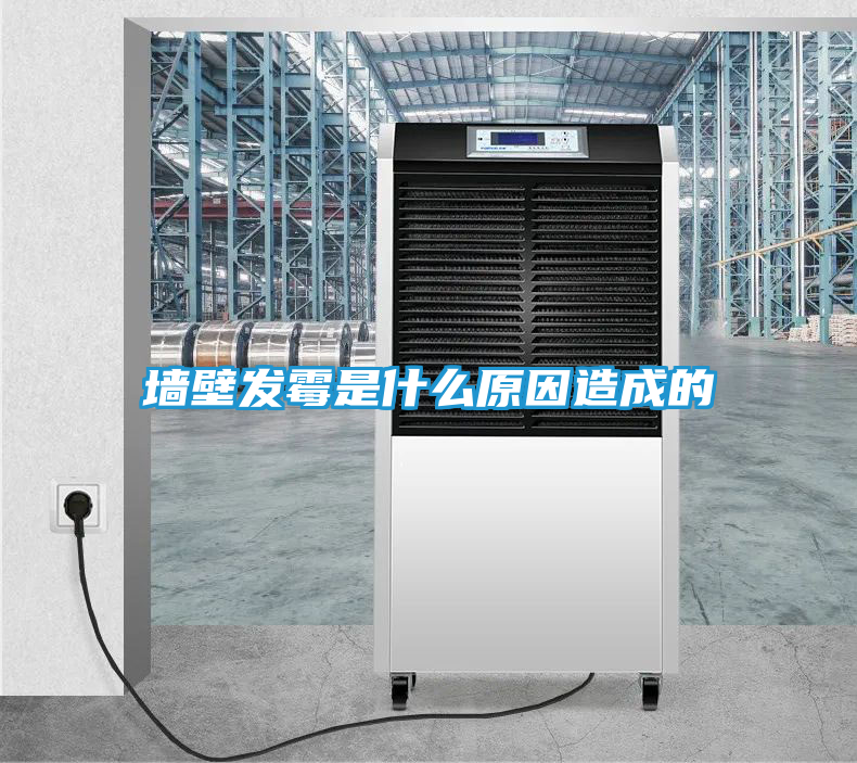墙壁发霉是什么原因造成的