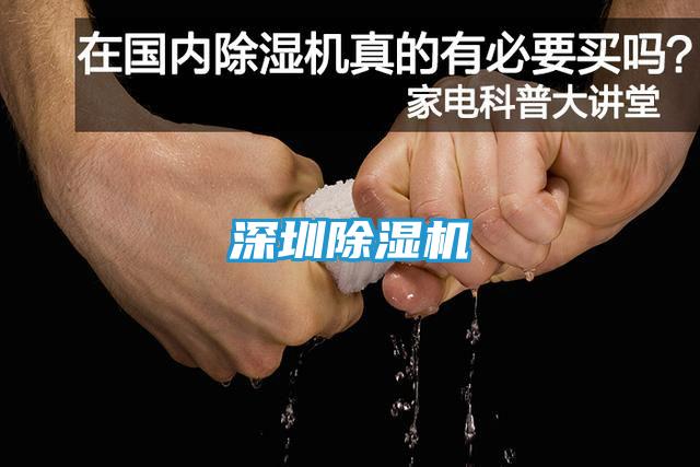 深圳除湿机