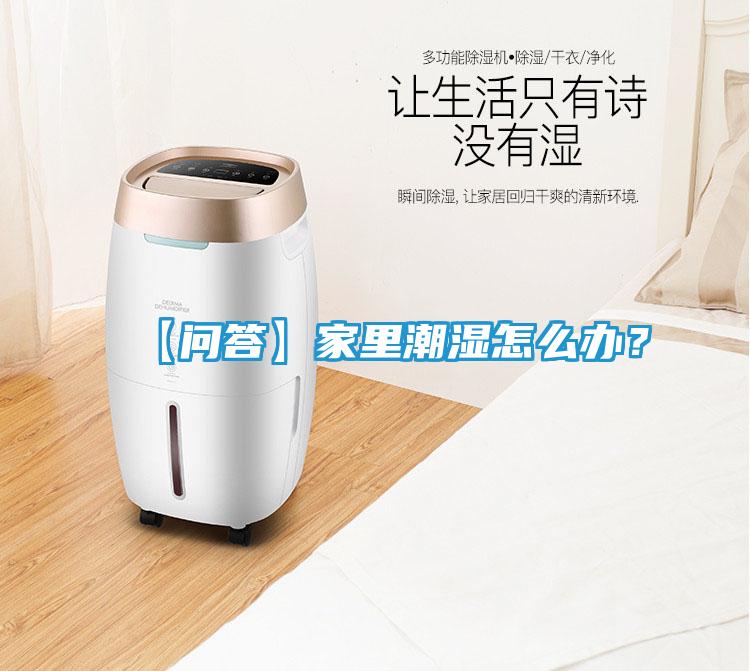 【问答】家里潮湿怎么办?