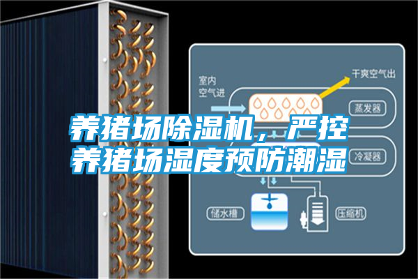 养猪场除湿机，严控养猪场湿度预防潮湿