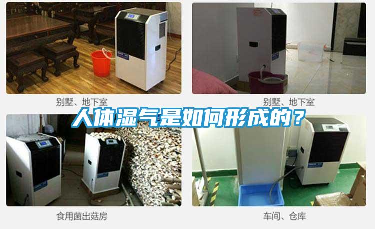 人体湿气是如何形成的？
