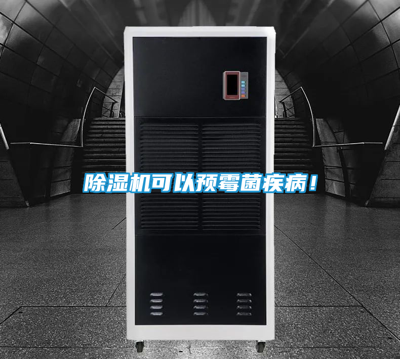 除湿机可以预霉菌疾病！