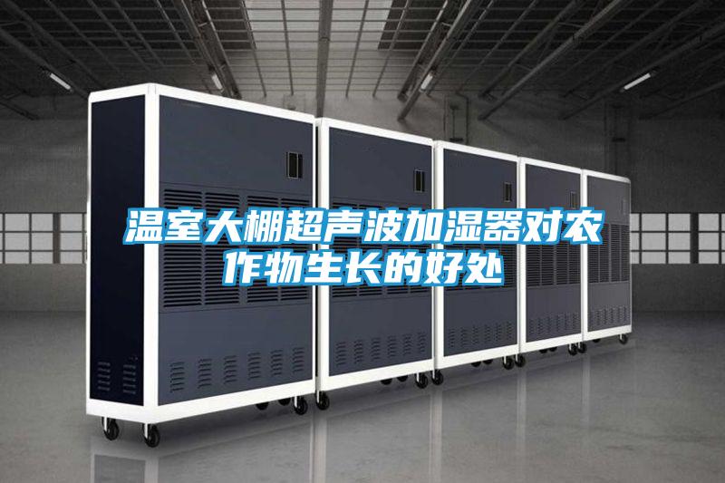 温室大棚超声波加湿器对农作物生长的好处