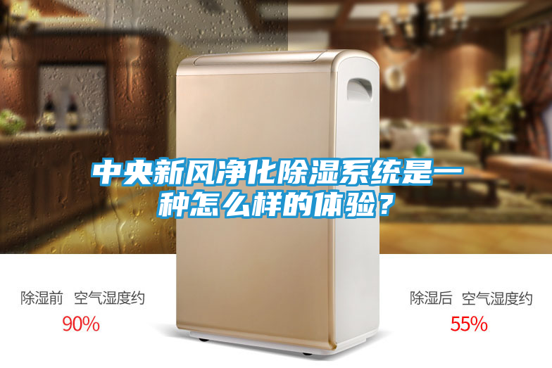中央新风净化除湿系统是一种怎么样的体验？
