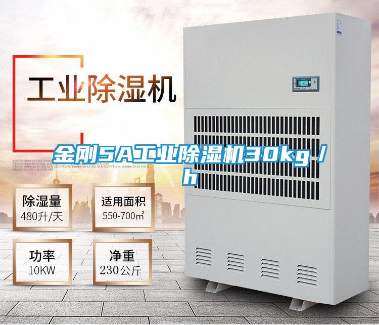 金刚5A工业除湿机30kg／h