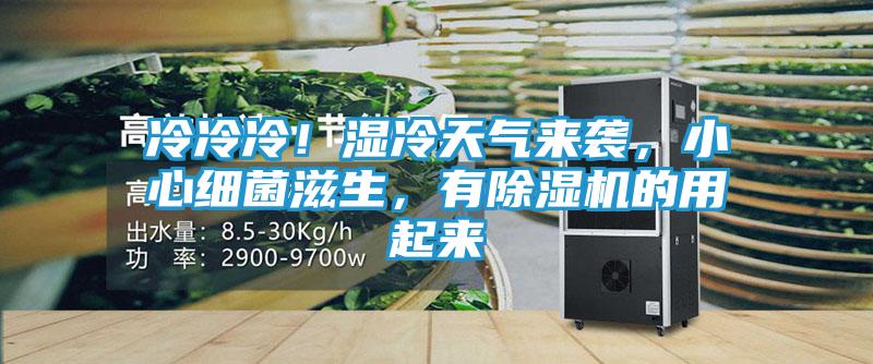 冷冷冷！湿冷天气来袭，小心细菌滋生，有除湿机的用起来