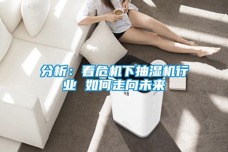 分析：看危机下抽湿机行业 如何走向未来
