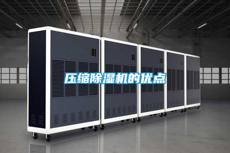 压缩除湿机的优点