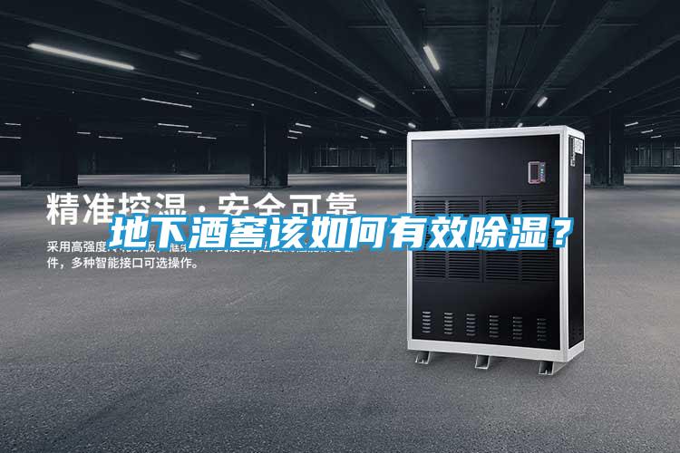 地下酒窖该如何有效除湿?