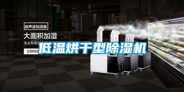 低温烘干型除湿机