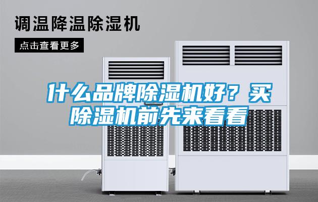 什么品牌除湿机好？买除湿机前先来看看