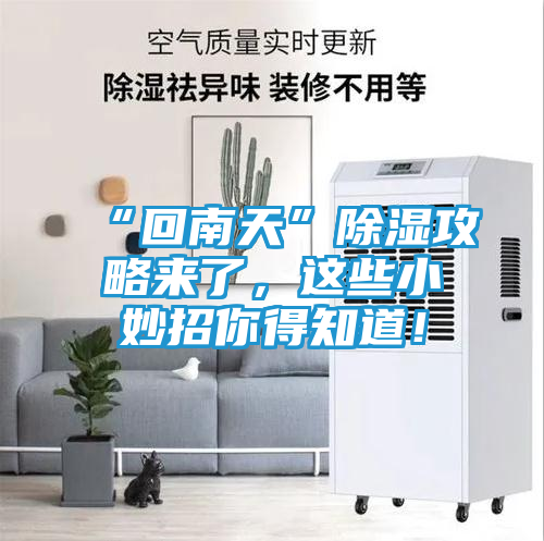 “回南天”除湿攻略来了，这些小妙招你得知道！