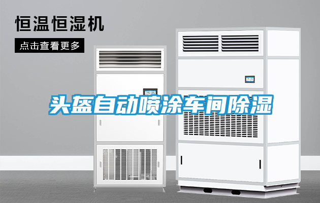 头盔自动喷涂车间除湿