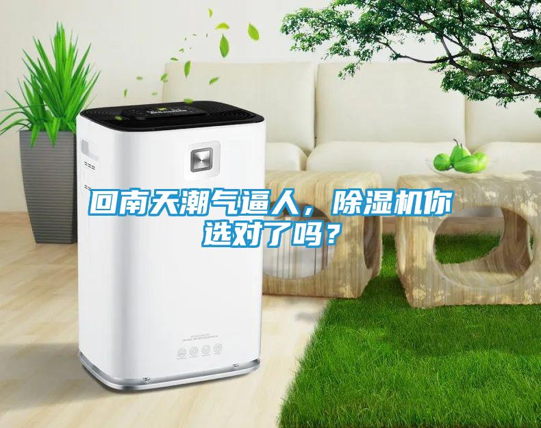 回南天潮气逼人,除湿机你选对了吗?
