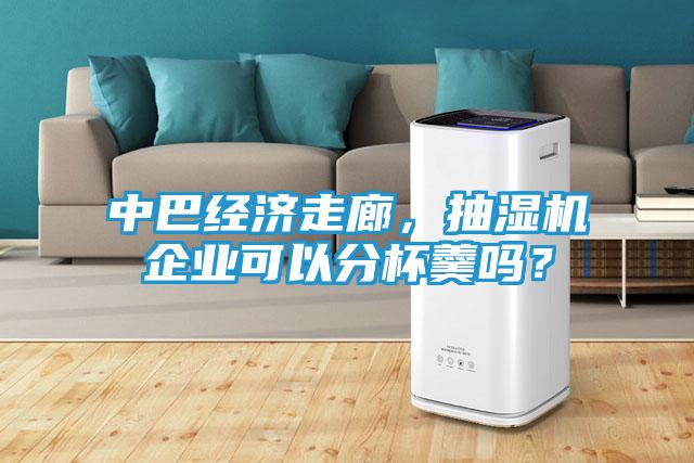 中巴经济走廊，抽湿机企业可以分杯羹吗？