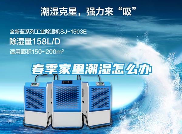 春季家里潮湿怎么办