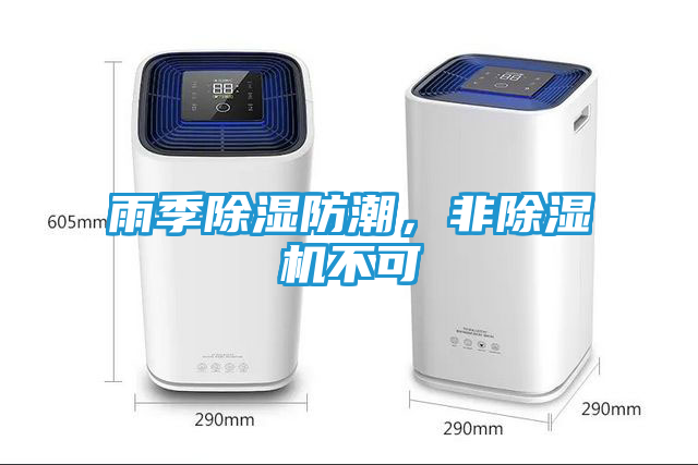雨季除湿防潮，非除湿机不可