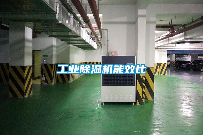 工业除湿机能效比