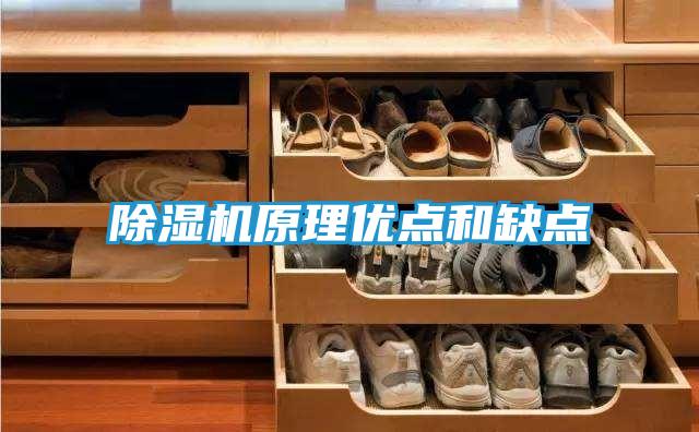 除湿机原理优点和缺点