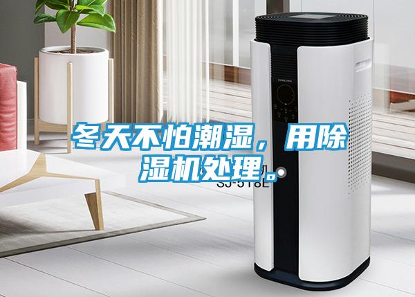 冬天不怕潮湿，用除湿机处理。