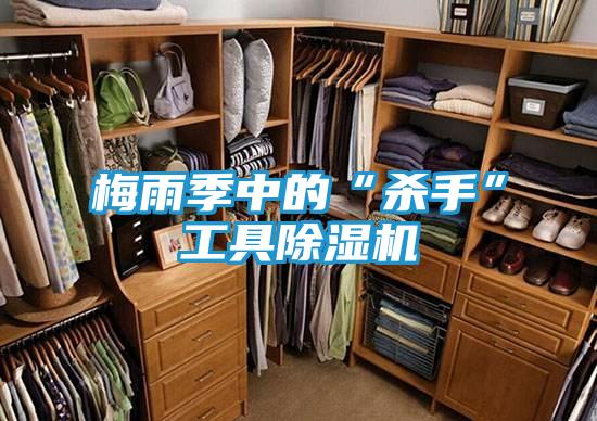 梅雨季中的“杀手”工具除湿机