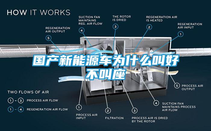 国产新能源车为什么叫好不叫座