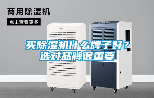 买除湿机什么牌子好？选对品牌很重要