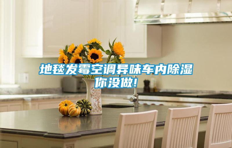 地毯发霉空调异味车内除湿你没做!