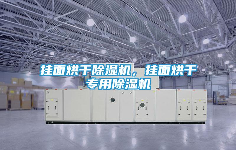 挂面烘干除湿机，挂面烘干专用除湿机