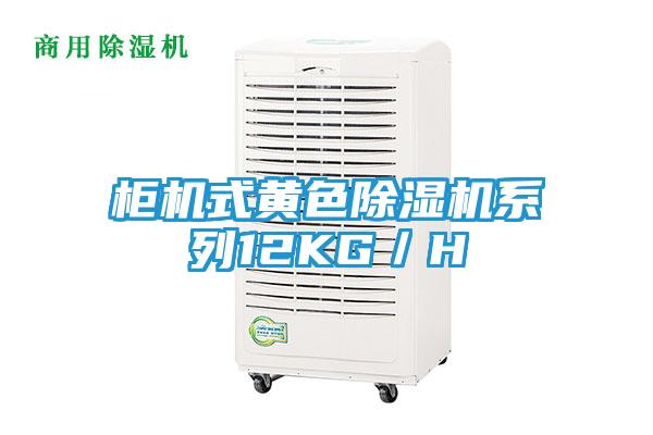 柜机式黄色除湿机系列12KG／H